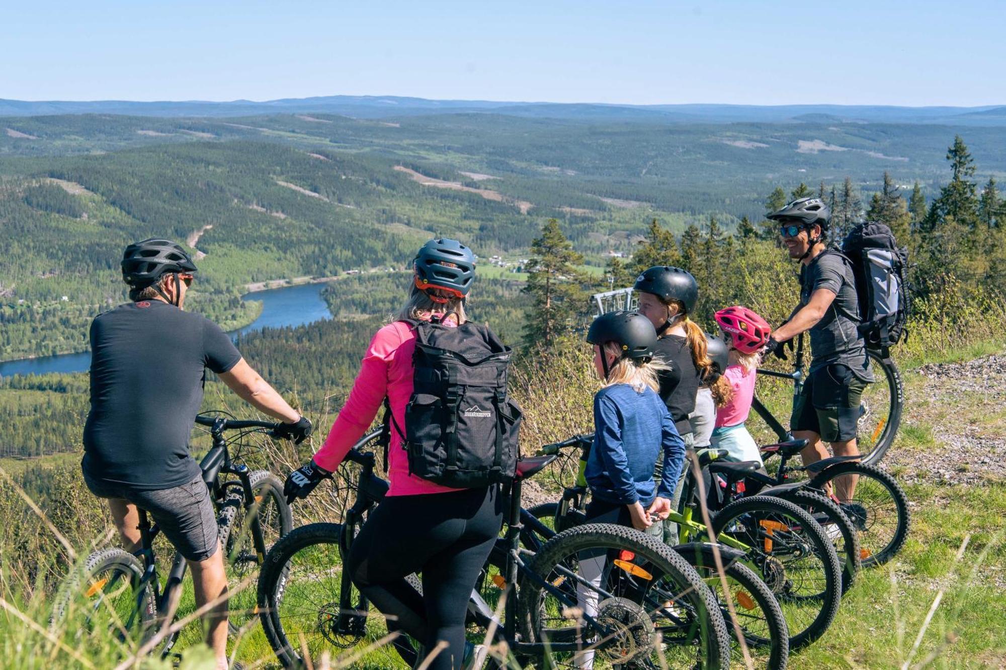Lyxig Stuga Pa Branaesberget Sysslebäck Екстериор снимка